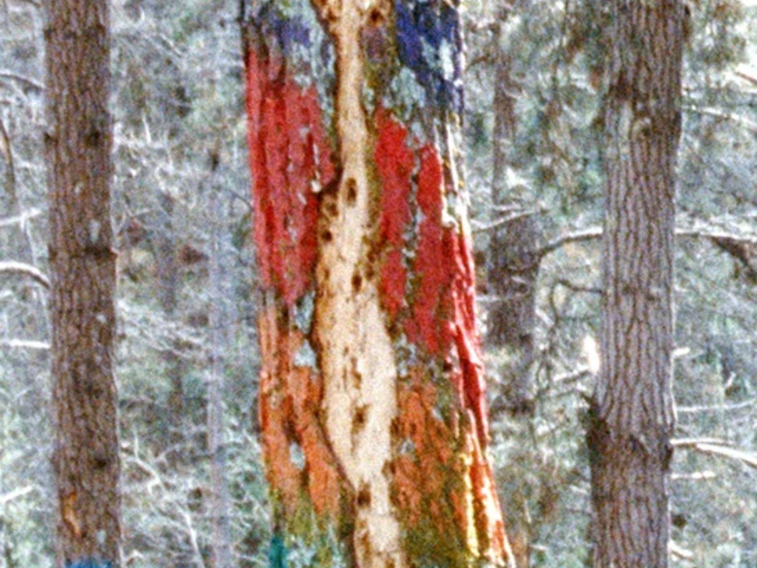 2026110526-el tercer paisaje-exposicion